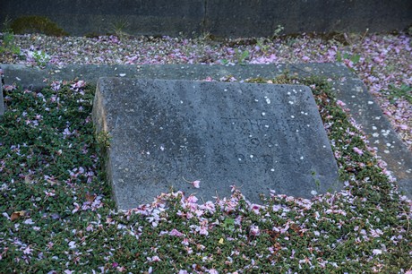 zuelpich