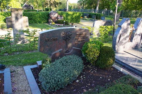 zuelpich
