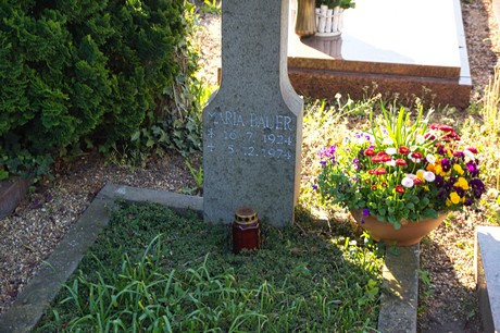 zuelpich