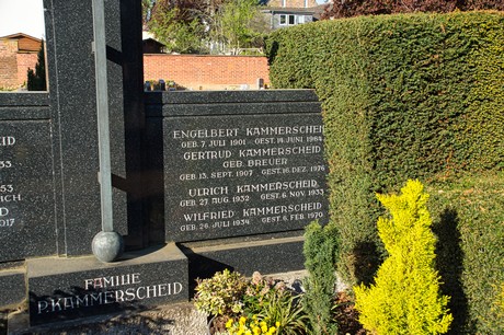 zuelpich