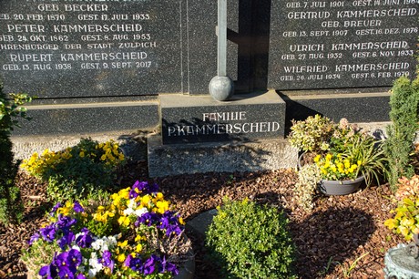 zuelpich