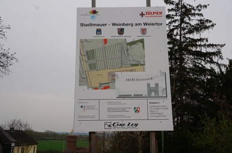 zuelpich