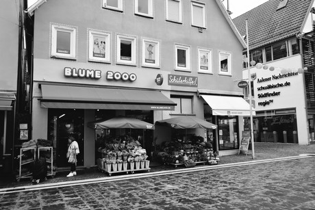 bilder