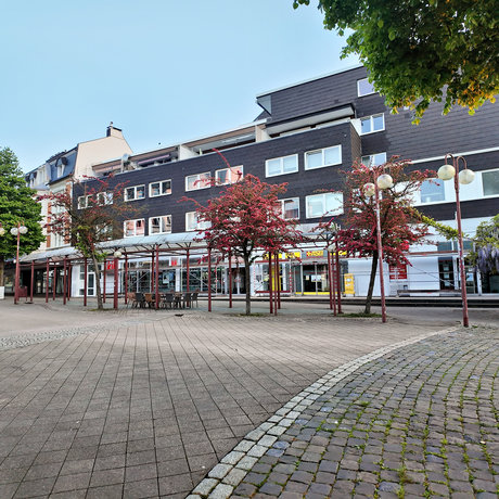 bilder