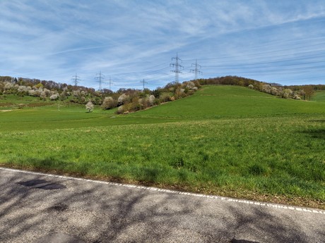 bilder
