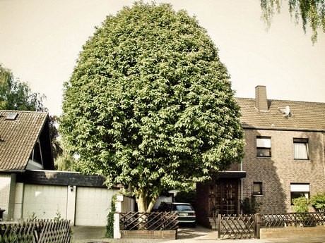 kerpen
