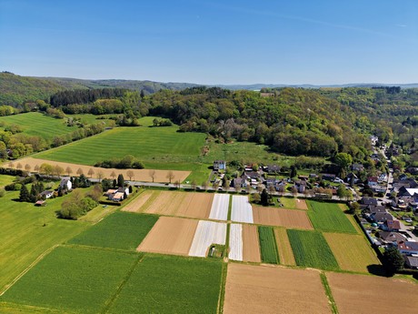 bilder