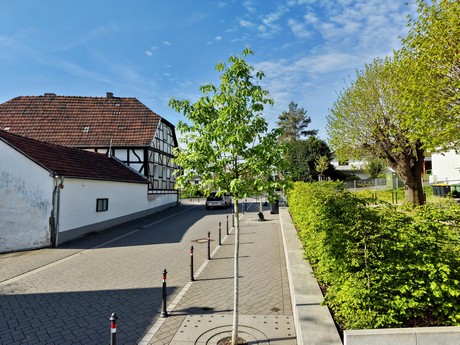 bilder